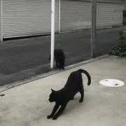 nuの画像