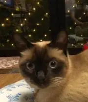 REEの画像
