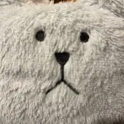 maiiii___の画像