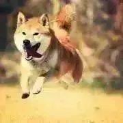 ℳ.要在庫確認