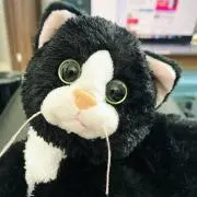 おにぎり