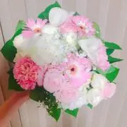 casablancaの画像