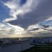 黒ごま