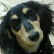 sammy☆の画像