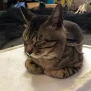 みなみ