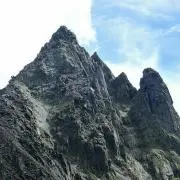 なるたかの画像
