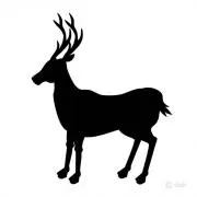 deer(プロセカ強化出品中)の画像