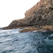 鯉太郎