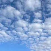 スプリングの画像