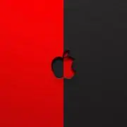 K M