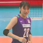 アローズ12