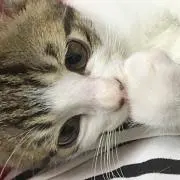 くみ