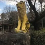 Ran2966の画像