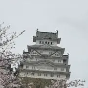 ヒョンちの画像