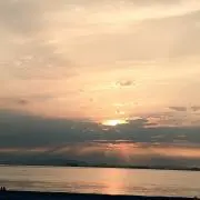 フッジー