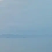 まるふぉいの画像