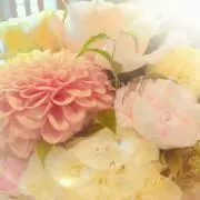 T-mile★おまとめ歓迎★の画像