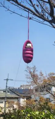たんたん  匿名発送、即購入OKです!!の画像