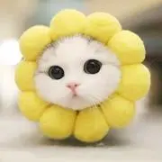 さな