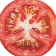 77it59の画像