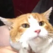 大吾郎SPの画像