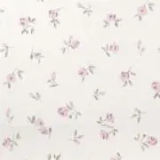 mizuki