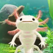 Tamuの画像