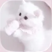 すいの画像