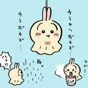 たぬ（ご購入の場合プロフ確認お願い）の画像