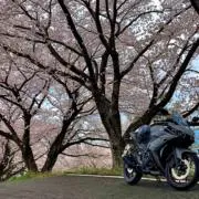 わーいの画像