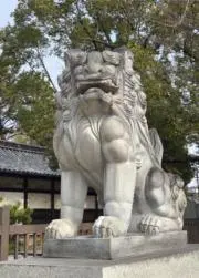 あずきの画像