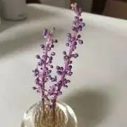 リカ⭐︎の画像