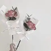수이 - sui