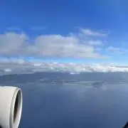 しっぽの画像
