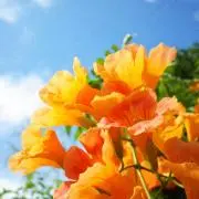 ❇︎ rtt ❇︎の画像