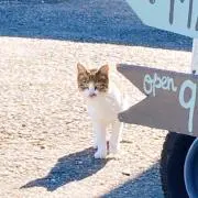ちせ