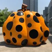 メイちゃんの画像