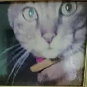 どりぽん