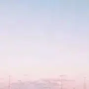 ぴーちの画像