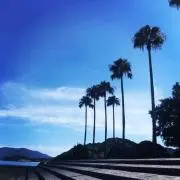 ringomaryの画像