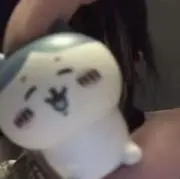 ハチワレの画像
