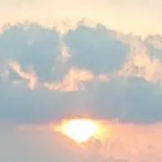 華の画像