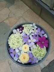 ななの画像