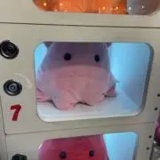 囚われぼっち