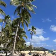COCOの画像