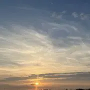 りちゃの画像