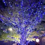 フリマーズ