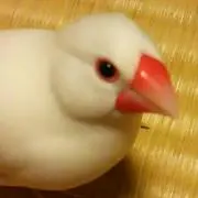 南☆朔 プロフ一読お願い致しますの画像