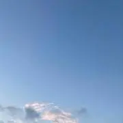 ゆうの画像