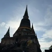 Nasの画像